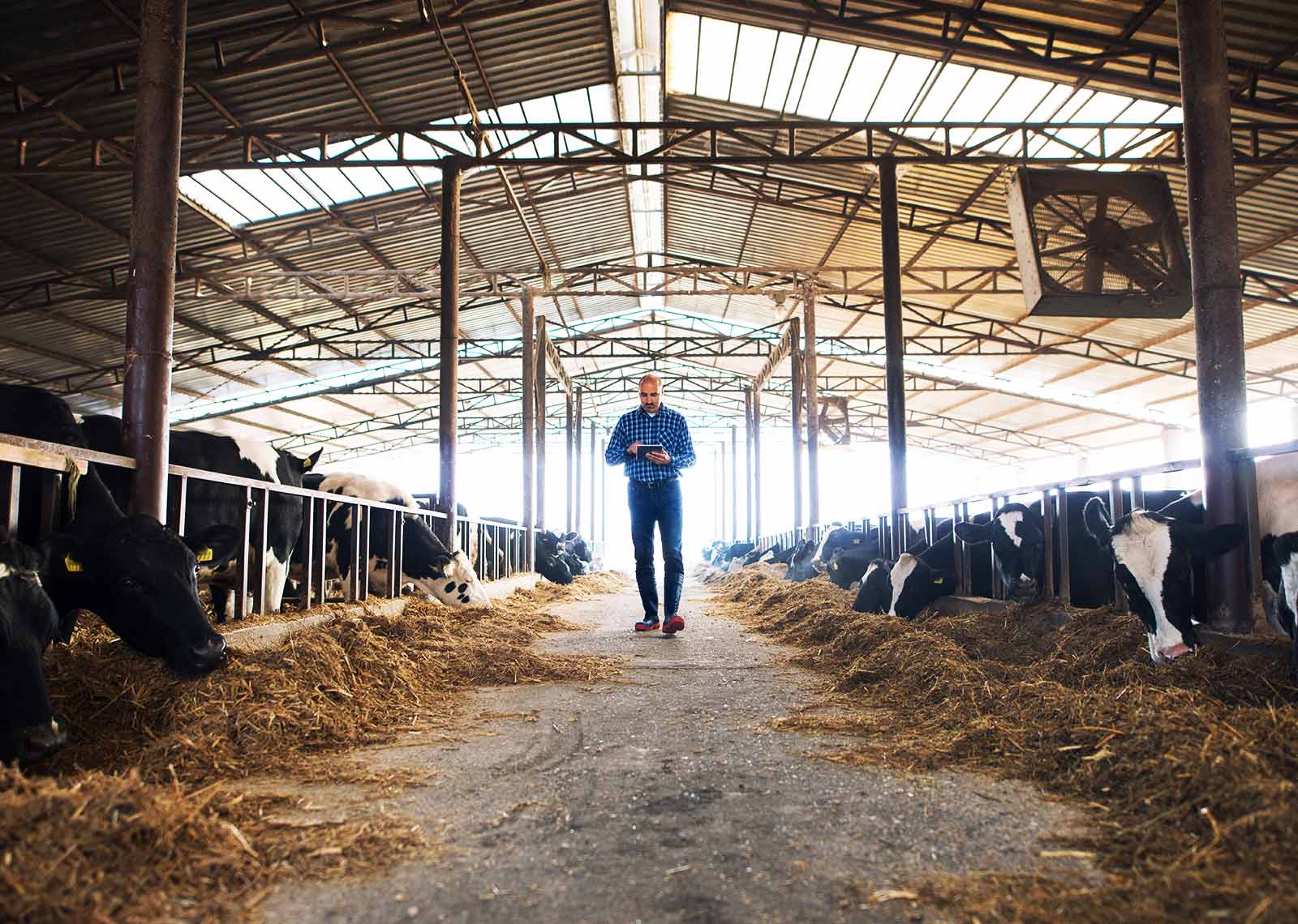 Intervju: Kako na farmere može uticati drugi talas COVID-19?